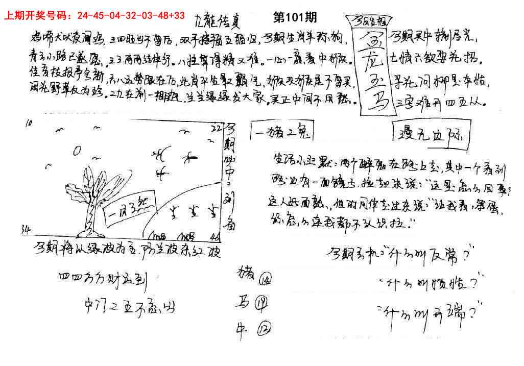 101期手写九龙内幕[图]