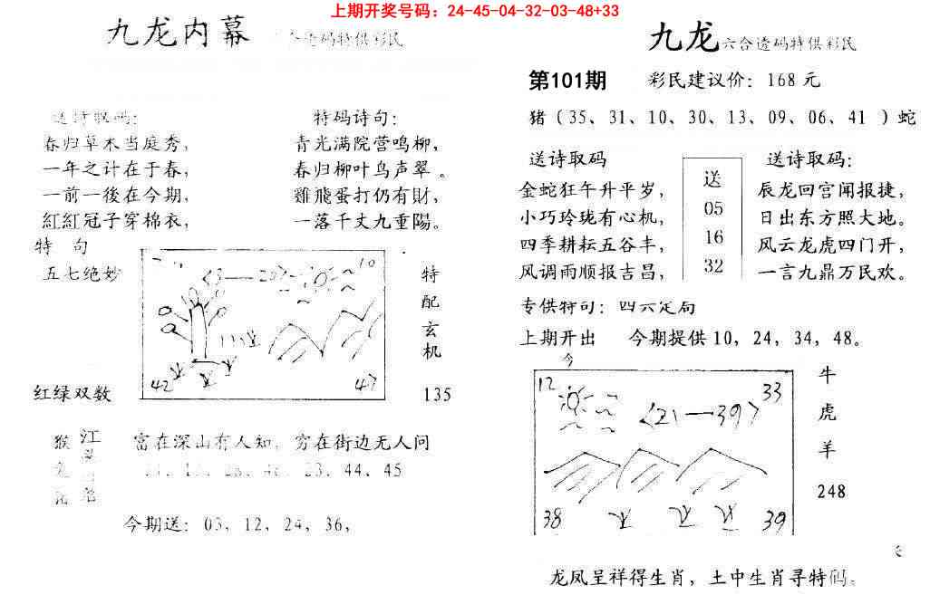 101期九龙内幕[图]